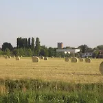 Boschi * Reggiolo
