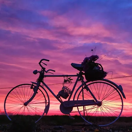 Фермерский дом Agriturismo Boschi Реджиолло