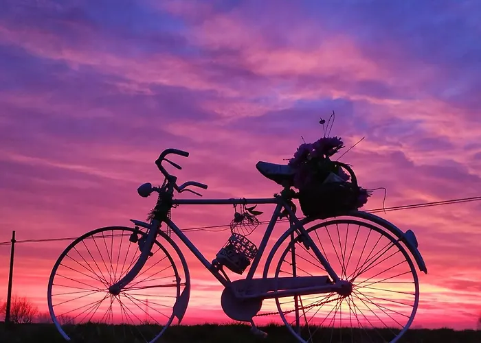 Фермерский дом Agriturismo Boschi Реджиолло