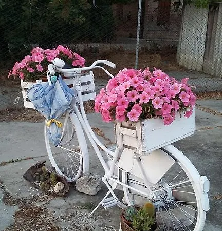 Boschi Agroturismo *