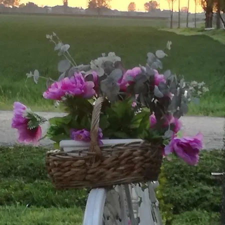 Agriturismo Boschi Фермерский дом *