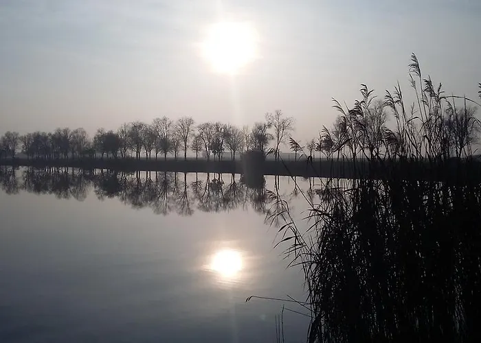 Boschi Farm stay Reggiolo